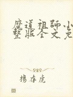 魔道祖师小说完整版全文免费阅读封面