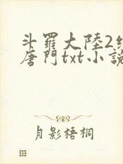 斗罗大陆2绝世唐门txt小说封面