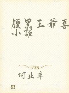 腹黑王爷喜当爹小说