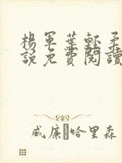 杨军叶轻柔的小说免费阅读