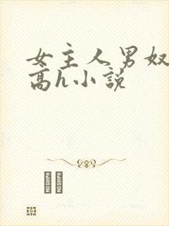女主人男奴调教高h小说