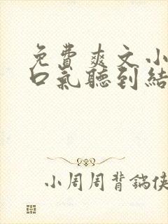 免费爽文小说一口气听到结局