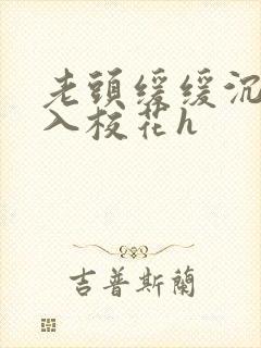 老头缓缓沉腰进入校花h