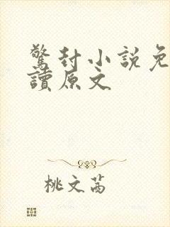 惊封小说免费阅读原文