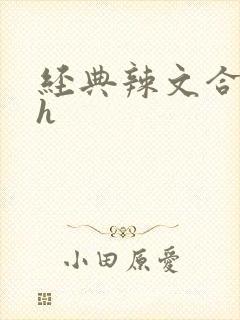 经典辣文合集高h