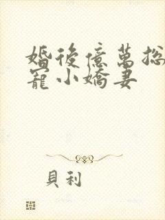 婚后亿万总裁独宠小娇妻