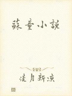 苏童小说