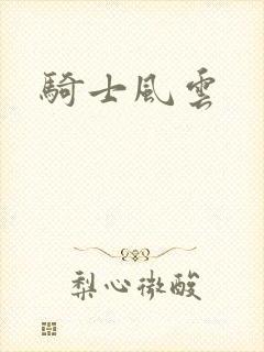 骑士风云