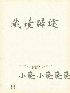 藏境归途封面