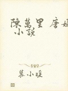 陈万里 唐嫣然 小说