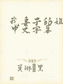 我妻子的姐姐2中文字幕