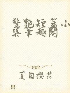 惊艳短篇小说合集笔趣阁