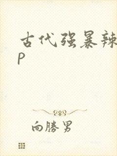 古代强暴辣文np