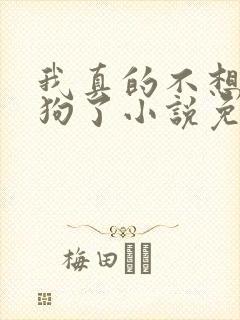 我真的不想当舔狗了小说免费阅读无弹窗封面