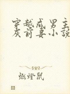 穿越成男主的炮灰前妻小说