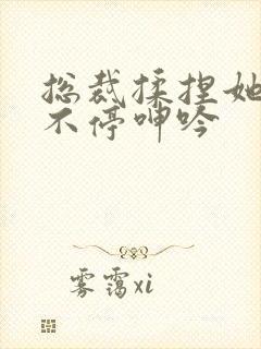 总裁揉捏她两乳不停呻吟