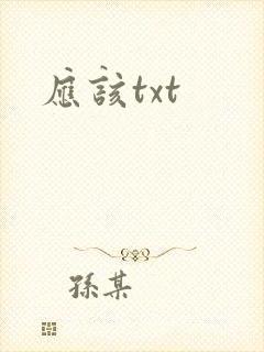 应该txt