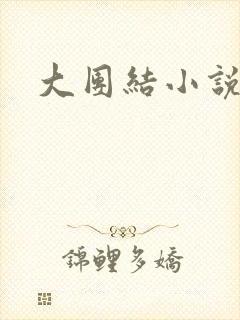 大团结小说下载