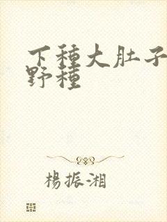 下种大肚子怀孕野种