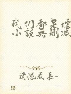 我们都是坏孩子小说无删减正版在线阅读