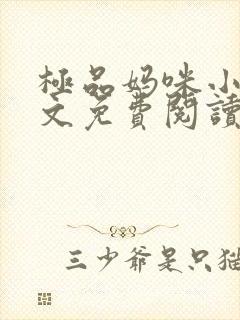 极品妈咪小说全文免费阅读