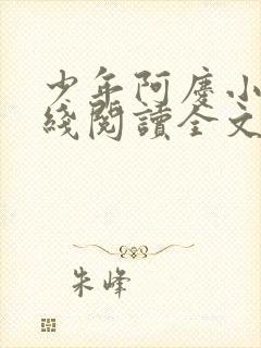 少年阿庆小说在线阅读全文