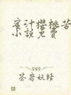 蜜汁樱桃苦咖啡小说免费
