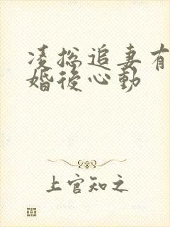 凌总追妻有点甜婚后心动