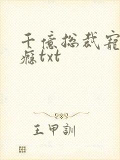 千亿总裁宠妻成瘾txt