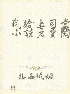 我给上司当奶妈小说免费阅读