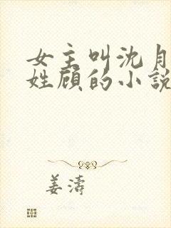 女主叫沈月男主姓顾的小说