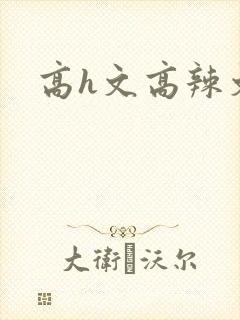 高h文高辣文