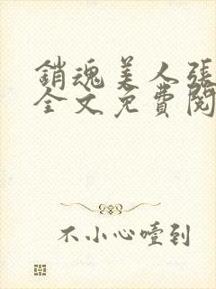 销魂美人张玉萍全文免费阅读小说封面