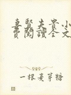 妻贤夫贵小说免费阅读全文