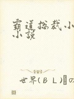 霸道总裁小娇妻小说