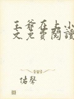 王爷在上小说全文免费阅读