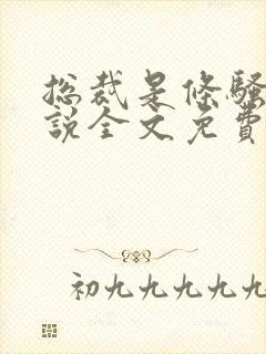总裁是条骚狗小说全文免费阅读