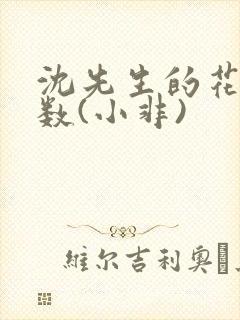 沈先生的花式调数(小非)