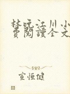 林晚江川小说免费阅读全文最新章节