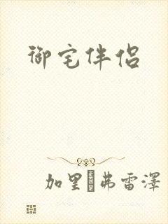 御宅伴侣