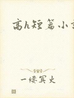 高h短篇小说