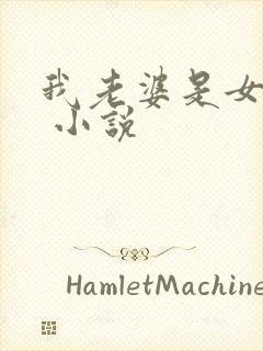 我老婆是女学霸 小说