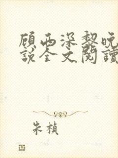 顾西深黎晚若小说全文阅读