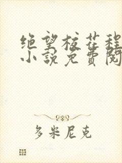 绝望校花程雨柔小说免费阅读封面