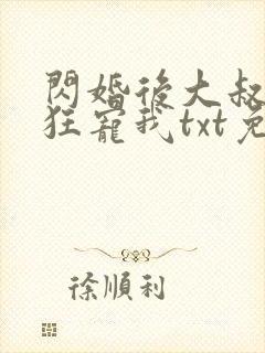 闪婚后大叔每天狂宠我txt免费