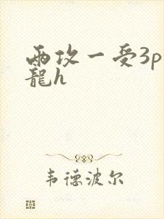 两攻一受3p双龙h