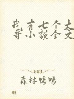 我有七个大佬哥哥小说全文封面