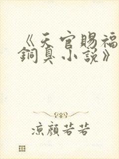 《天官赐福墨香铜臭小说》