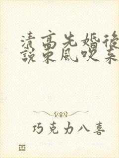 清高先婚后爱小说东风吹来