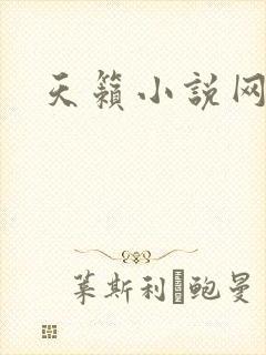 天籁小说网